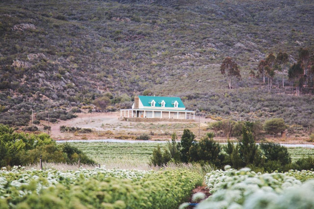 Blue Cow Barn - Boutique Farm Guest House Barrydale Exterior photo