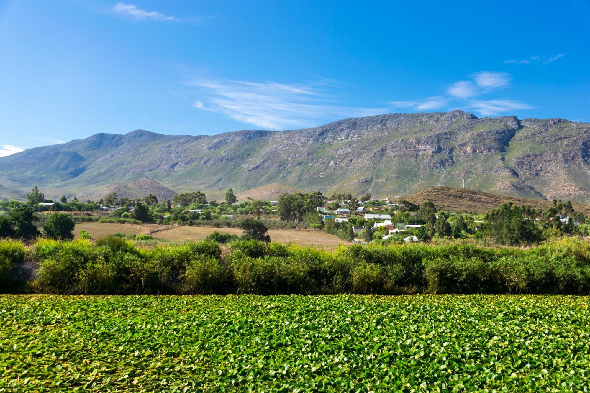 Blue Cow Barn - Boutique Farm Guest House Barrydale Exterior photo