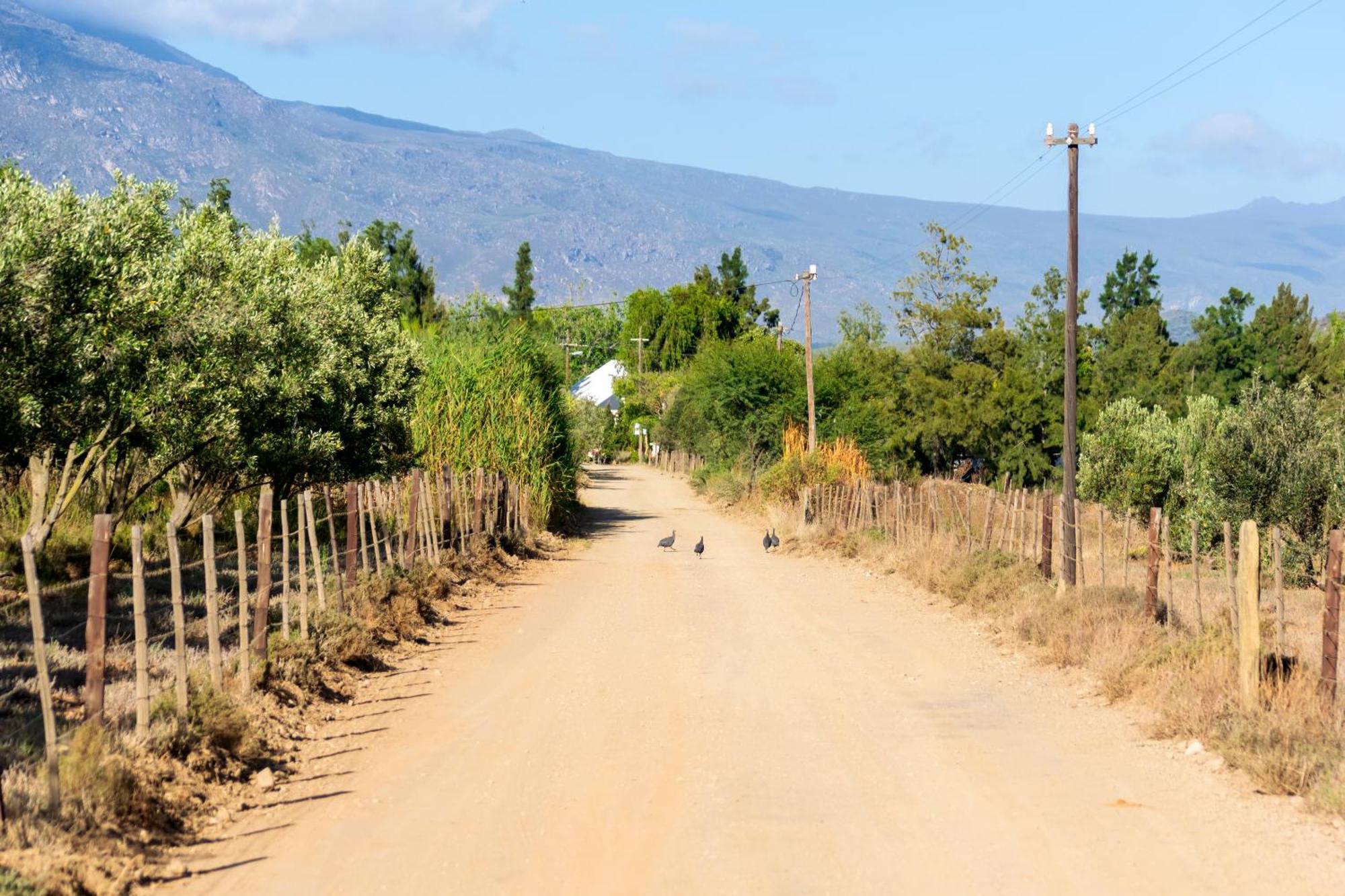 Blue Cow Barn - Boutique Farm Guest House Barrydale Exterior photo