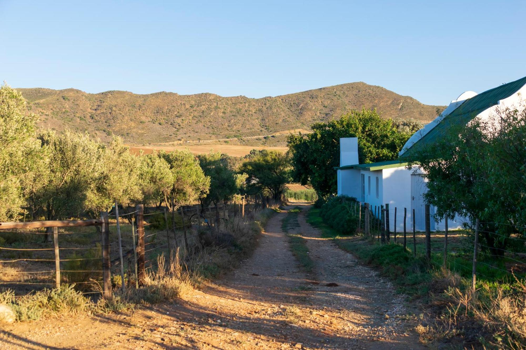 Blue Cow Barn - Boutique Farm Guest House Barrydale Exterior photo